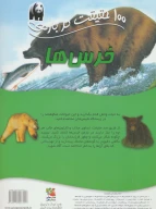 کتاب 100 حقیقت درباره خرس‌ها - تصویر 2