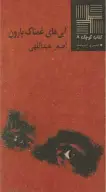 کتاب آبی‌های غمناک بارون - تصویر 1