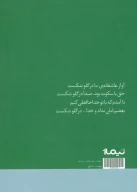 کتاب آواز عاشقانه‌ی ما در گلو شکست - تصویر 2
