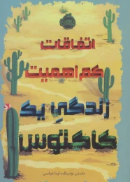 کتاب اتفاقات کم اهمیت - front