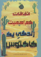 کتاب اتفاقات کم اهمیت - تصویر 1