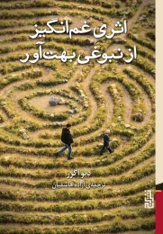 کتاب اثری غم انگیز از نبوغی بهت آور - front