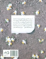 کتاب ازدحام بوسه - تصویر 2