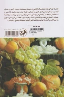 کتاب اعجاز خوراکی‌ها - تصویر 2