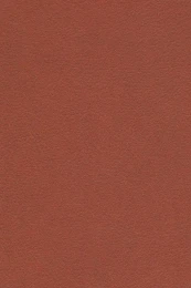 کتاب ایزابلا - back