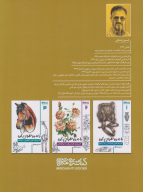 کتاب آموزش طراحی آناتومی و چهره انسان - تصویر 2