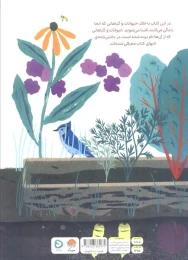 کتاب بالا روی خاک پایین توی خاک - back