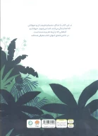 کتاب بالا روی درختان پایین توی جنگل - تصویر 2