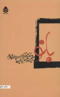 کتاب بانو و آخرین کولی سایه‌فروش - تصویر 1