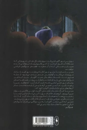 کتاب بتمن شوالیه تاریکی - back