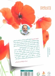 کتاب برایم حافظ بگیر - back