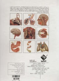 کتاب برجسته شگفتی بدن انسان - back