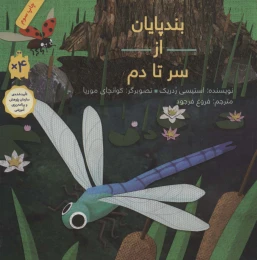 کتاب بندپایان از سر تا دم - front