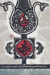 کتاب بی برادر - front