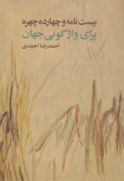 کتاب بیست نامه و چهارده چهره برای واژگونی جهان - front