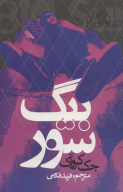 کتاب بیگ سور - تصویر 1