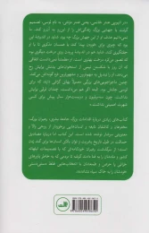 کتاب تاریخچه بلاهت - back