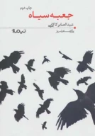 کتاب جعبه سیاه - تصویر 1