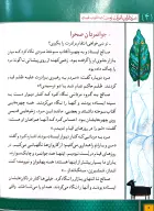 کتاب جوانمردان صحرا - تصویر 3