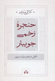 کتاب حنجره زخمی جویبار - front