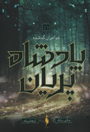 کتاب خواهران گمشده - front