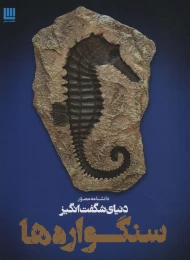 کتاب دانشنامه مصور دنیای شگفت انگیز سنگواره ها - front