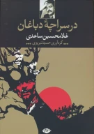 کتاب در سراچه دباغان - تصویر 1