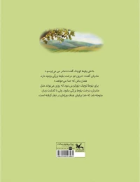کتاب درخت بلوط بزرگی در دانه ی بلوط کوچک - back