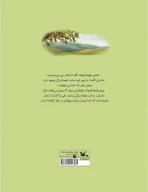 کتاب درخت بلوط بزرگی در دانه بلوط کوچک - تصویر 2