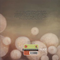 کتاب دره آسیاب - تصویر 2