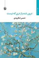کتاب درون شدم از دری که نیست - تصویر 1