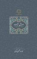 کتاب درویش ستیهنده - تصویر 1