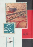 کتاب دل سنگ آب شد - تصویر 1