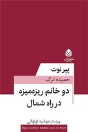 کتاب دو خانم ریزه‌میزه در راه شمال - تصویر 1
