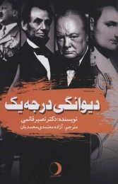 کتاب دیوانگی درجه یک - front