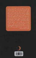 کتاب دیوانگی درجه یک - تصویر 2