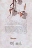 کتاب رهزنان دریا - تصویر 2