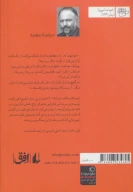 کتاب زنبورهای خاکستری - تصویر 2