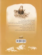 کتاب زینب خانم - تصویر 2