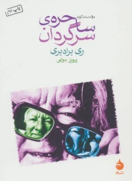 کتاب ساحره ی سرگردان - front