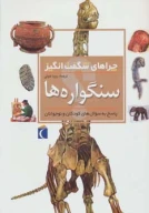 کتاب سنگواره‌ها - تصویر 1
