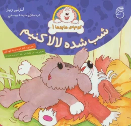 کتاب شب شده لالا کنیم - front