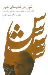 کتاب شبی در شارستان شور - front