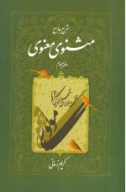 کتاب شرح جامع مثنوی معنوی - تصویر 1