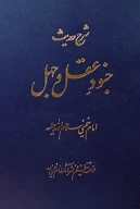 کتاب شرح حدیث جنود عقل و جهل - تصویر 1