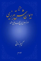 کتاب شرح دیوان شمس تبریزی - جلد دوم