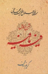 کتاب شرح کامل فیه ما فیه
