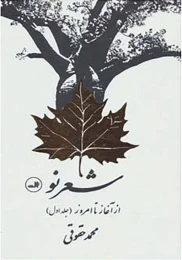 کتاب شعر نو از آغاز تا امروز
