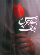 کتاب عروس نجف - تصویر 1
