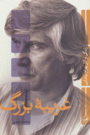 کتاب غریبه بزرگ - تصویر 1